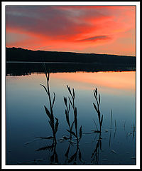 photo "J Bachotek"