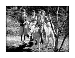 photo "Kid and the Kids"