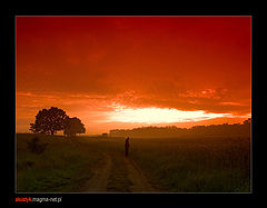 photo "morning 6"