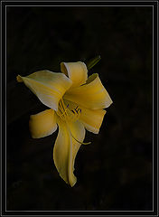 photo "Untitled photo"