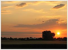 фото "Sunrise 19.6.2004"