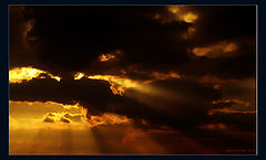 photo "Untitled photo"