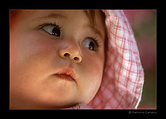 фото "(no title)"
