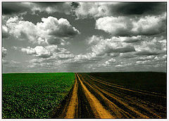 фото "between"