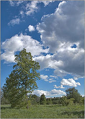 photo "Fine day"