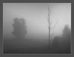 photo "Fog"