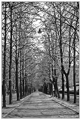 фото "Фонарь"
