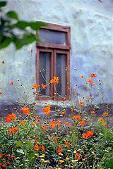 photo "Chisinau - Old City"