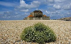photo "Embleteuse - France"
