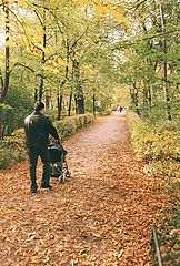 photo "Autumn of life"