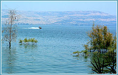 photo "Lakes Kineret Lazur"