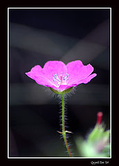 фото "Untitled"