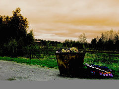 фото "Вечные ценности("Soul Recycling Bin")"