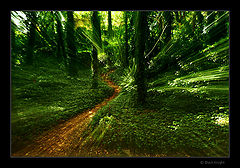 фото "The Way..."