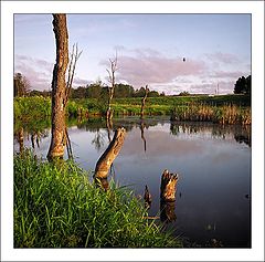 photo "Exercises with Hasselblad on coast of the river"