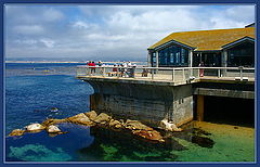 фото "Monterey, California"