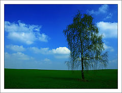фото "..."