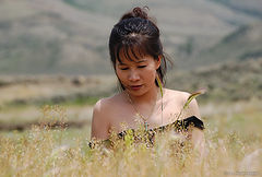 photo "Hu Tieu"