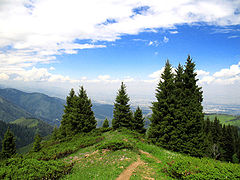 photo "Mountain beauties"