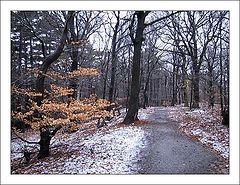 photo "Winter Memories"