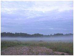 photo "Early morning"