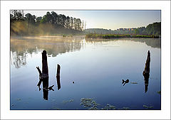 photo "Morning on the river"