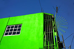 фото "the color of mexico 2"