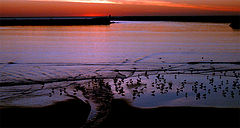 photo "Evening"