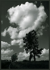 фото "..."