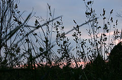 photo "walk along the channel"
