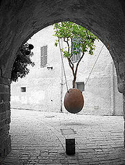 фото "Yaffo 2"