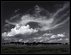фото "..."