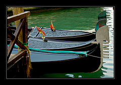 фото "Color of Venice **"