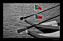 фото "Double Proud..."