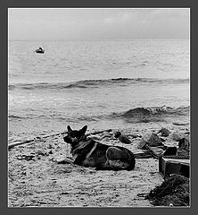 фото "waiting for..."