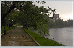 photo "Walks under a rain…"