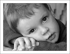 photo "Portrait..."