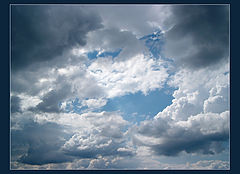 фото "Window"