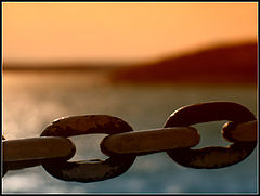 photo "X1"
