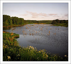 photo "Open space"