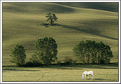 фото "Toscana 2002"