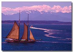 фото "Out Sailing"