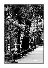 фото "Smoking in the park"