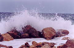 photo "Splashes"