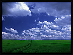 фото "..."