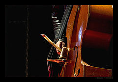 photo "Playing Love"
