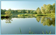 photo "Serebryanniy Bor"