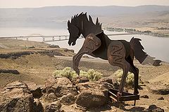 photo "Wild Horse"