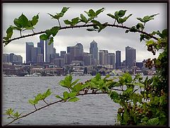 фото "Natural Frame"
