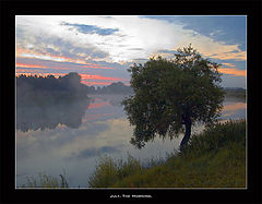 фото "July.-The-Morning."